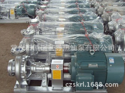 WRY100-65-220熱油泵