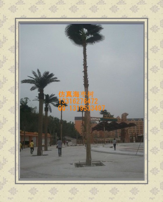 conew_r6ki134vdn0ehkshlr40fhl