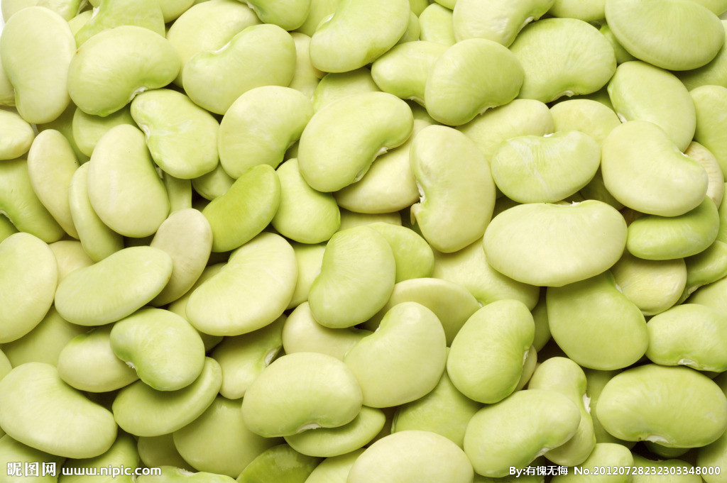 4499633_232303348000_2