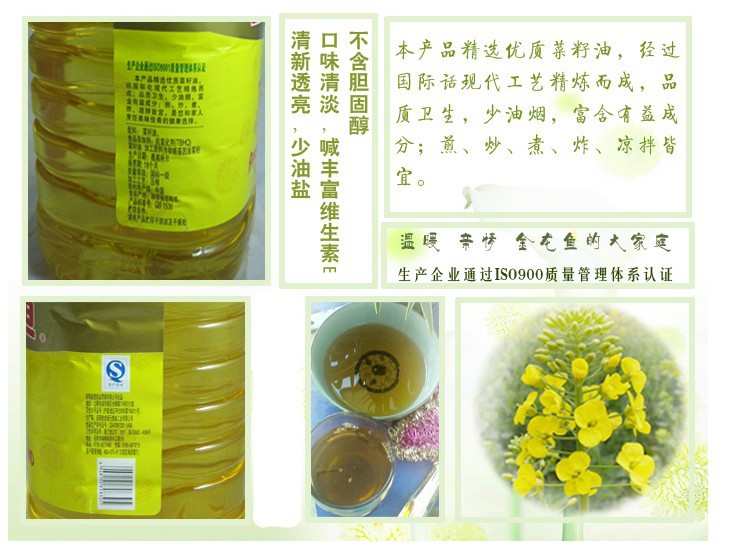 金龍魚精煉一級菜籽油5L 廠家直銷 百分百正品保證