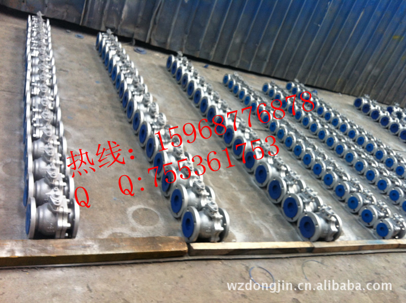 492_387330829_IMG_1297_副本