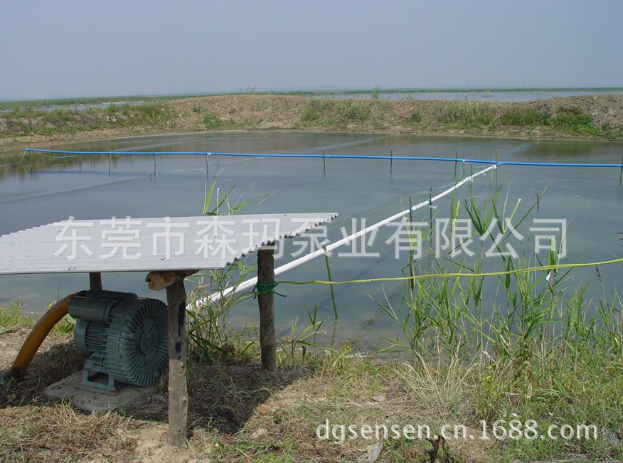 专业生产销售虾池配套销量领先微孔水底曝气增氧机