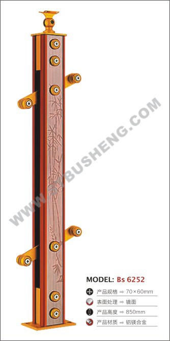 Bs 6252