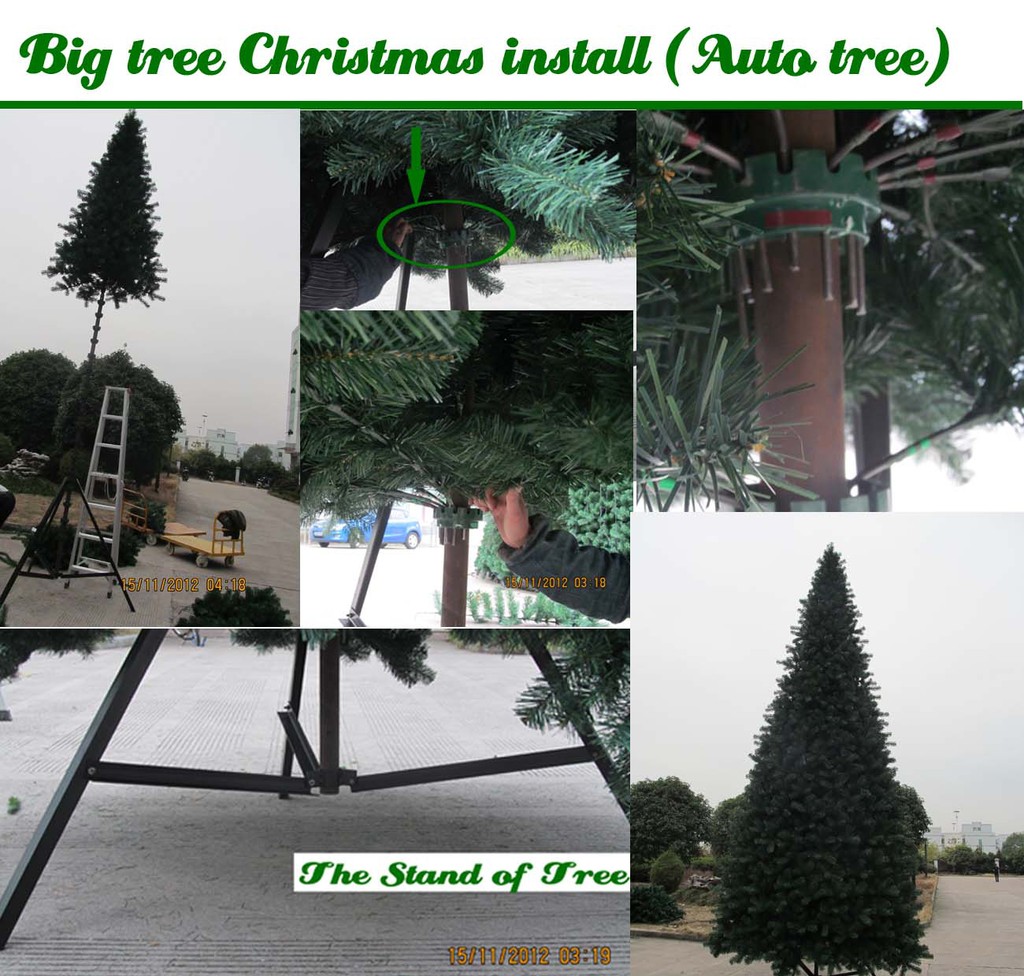 Big tree install auto tree