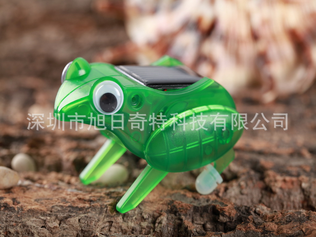 frog 40