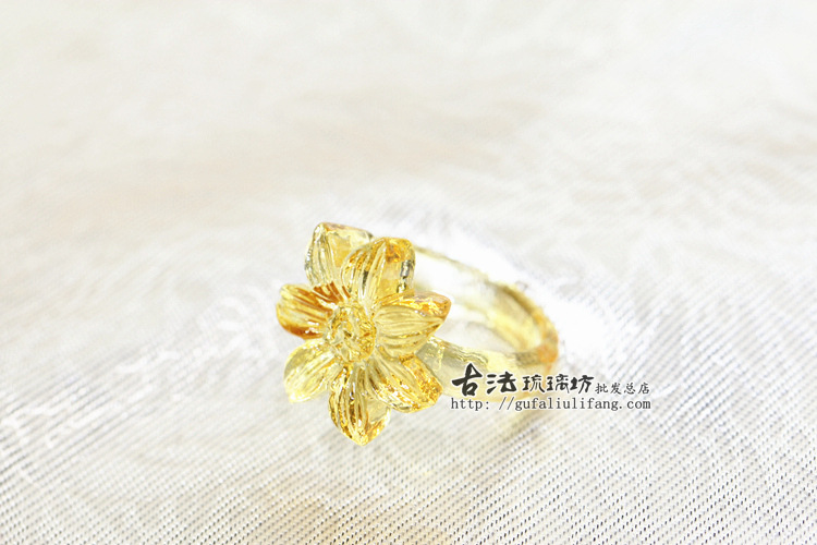 菊花 (1)
