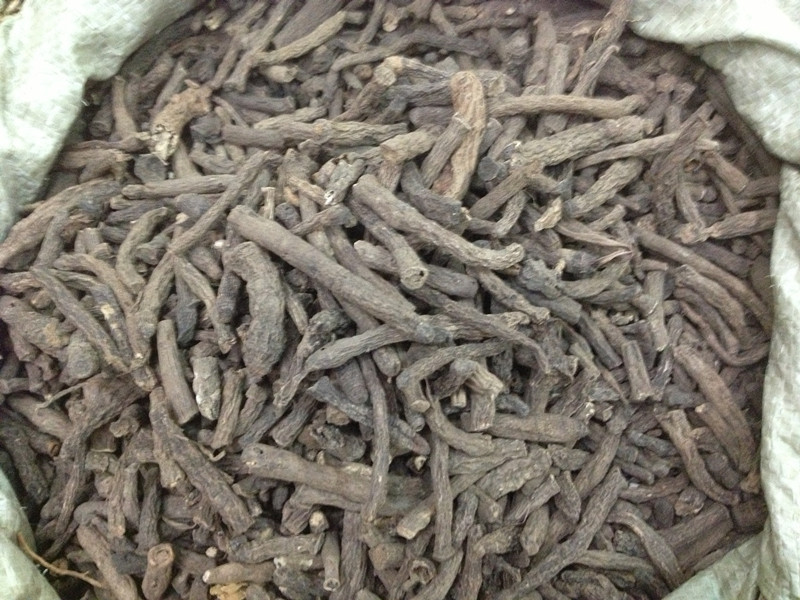 中药材批发 仙茅