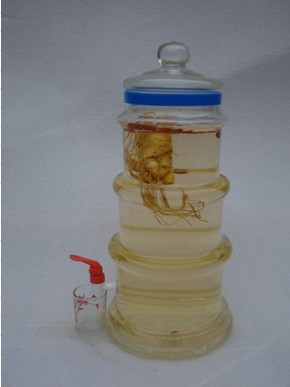 B{CCCNA5CYB_~8WQRJFKAQB