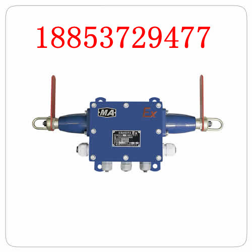 5.KG9001A-(C2)拉绳闭锁开关_副本