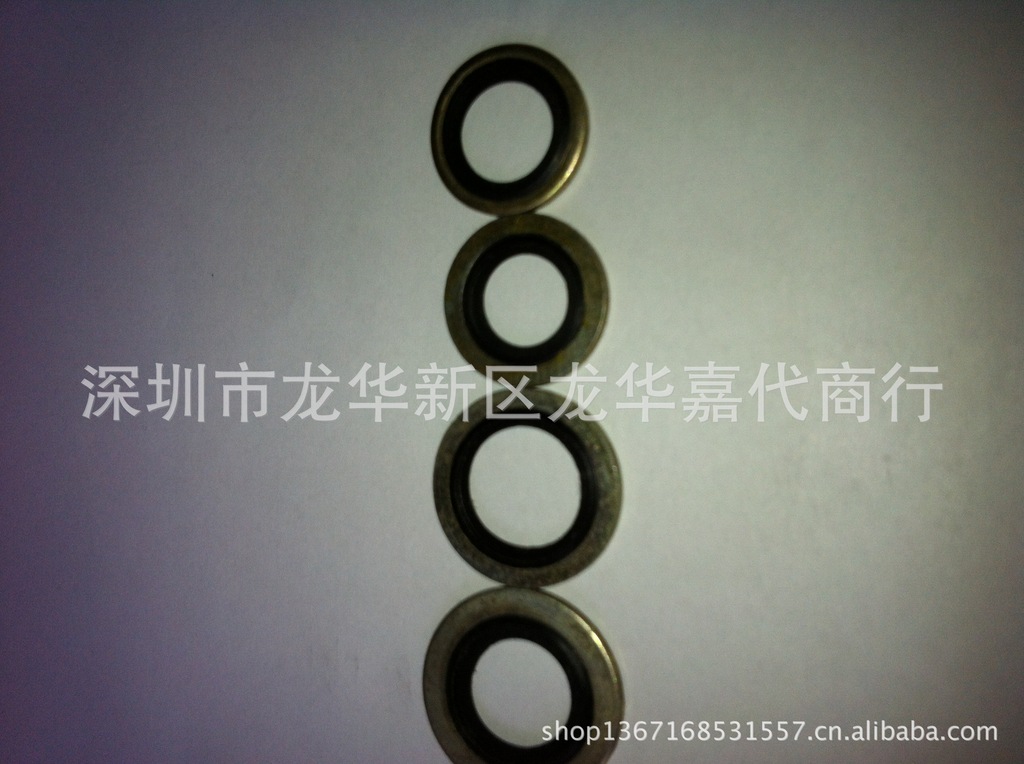 组合垫圈 (2)