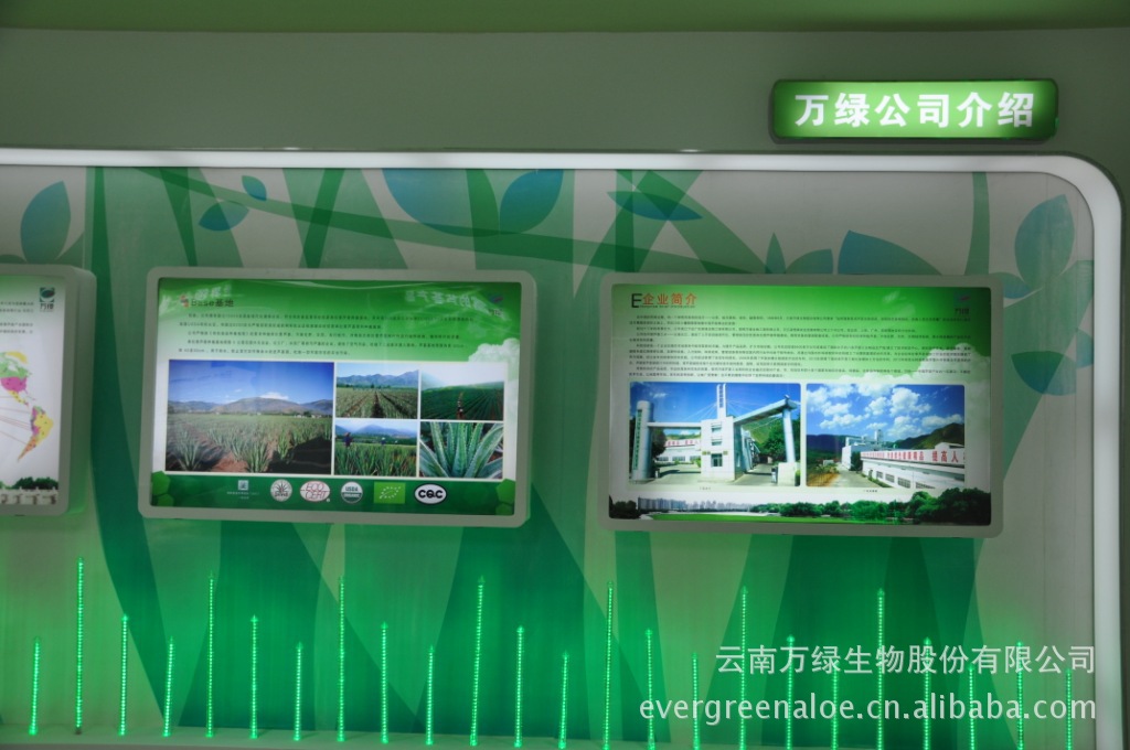 蘆薈膠囊 可貼牌生產(chǎn)銷(xiāo)售 植物提取物 保健品原料 蘆薈提取物