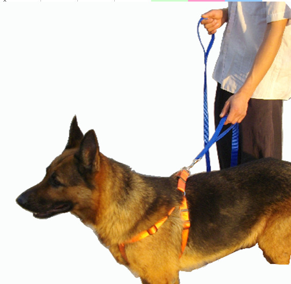 QQ截圖20131030154507