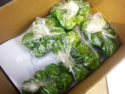 锦锐-精品青椒物理活性保鲜袋1