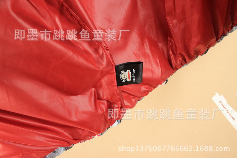 照片 526