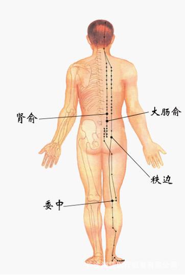 骨質增生治療設備