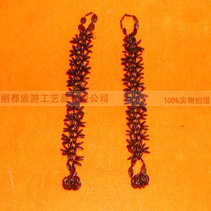 DSCN1339