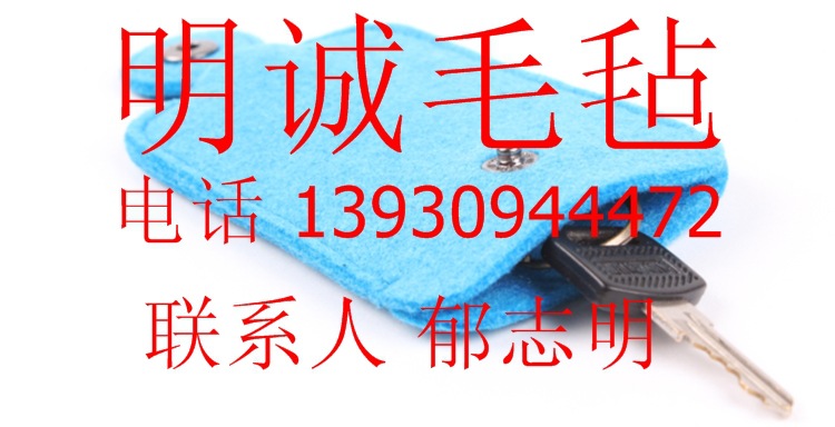 毛毡钥匙配件58