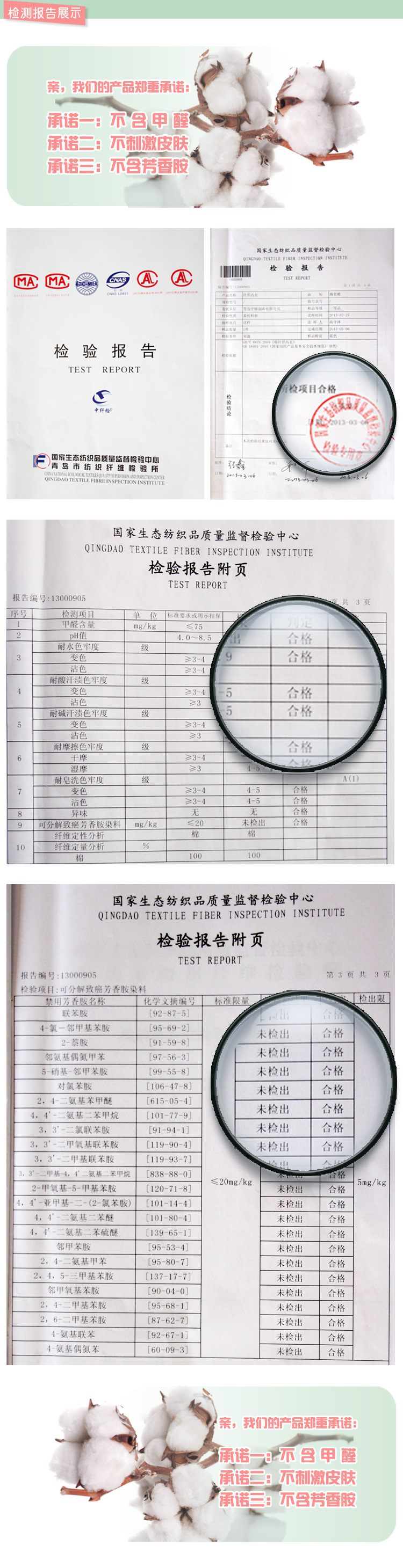 檢測報告1