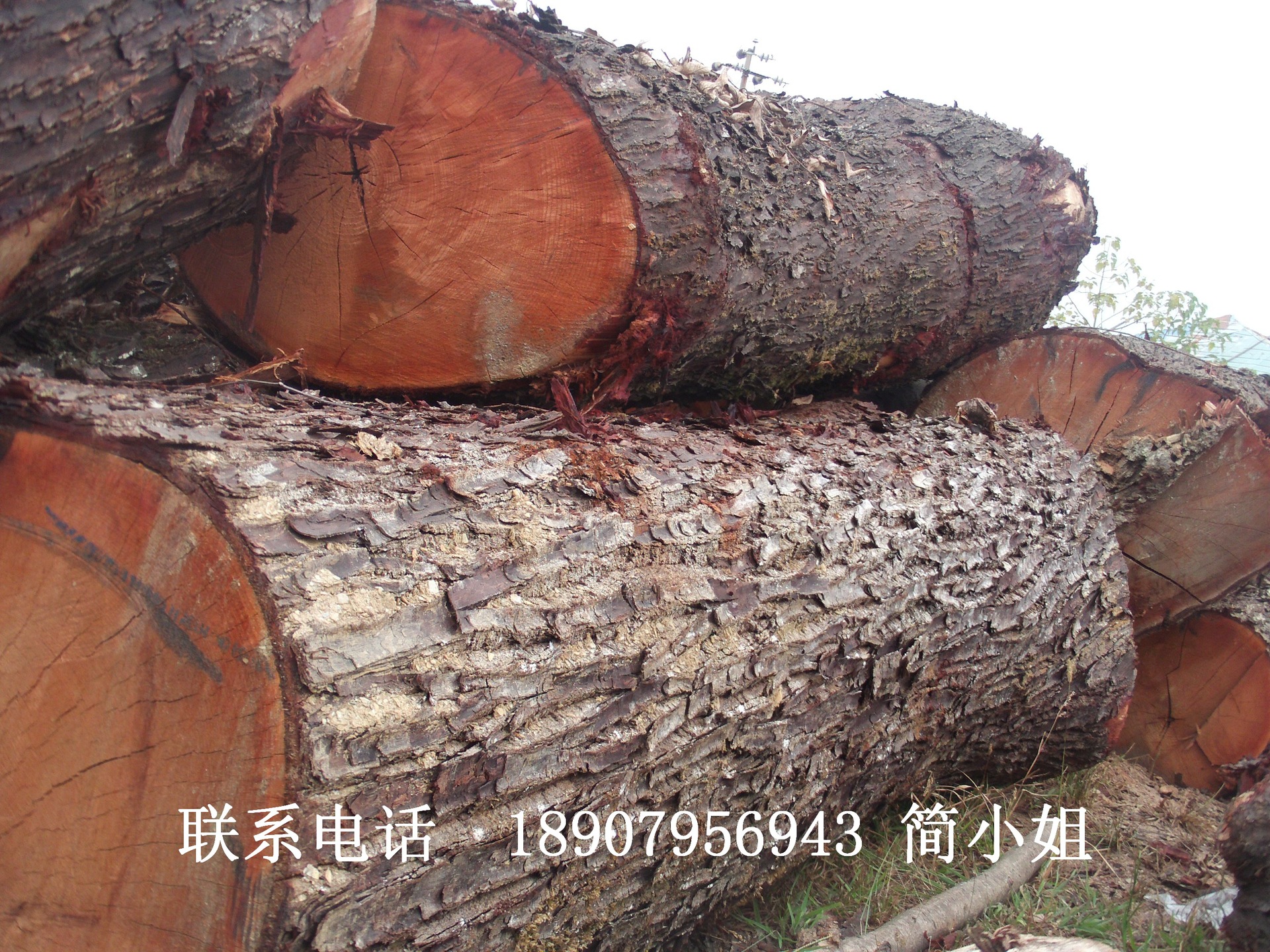 FILE0574