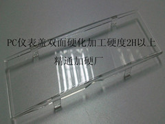 100_5453_副本
