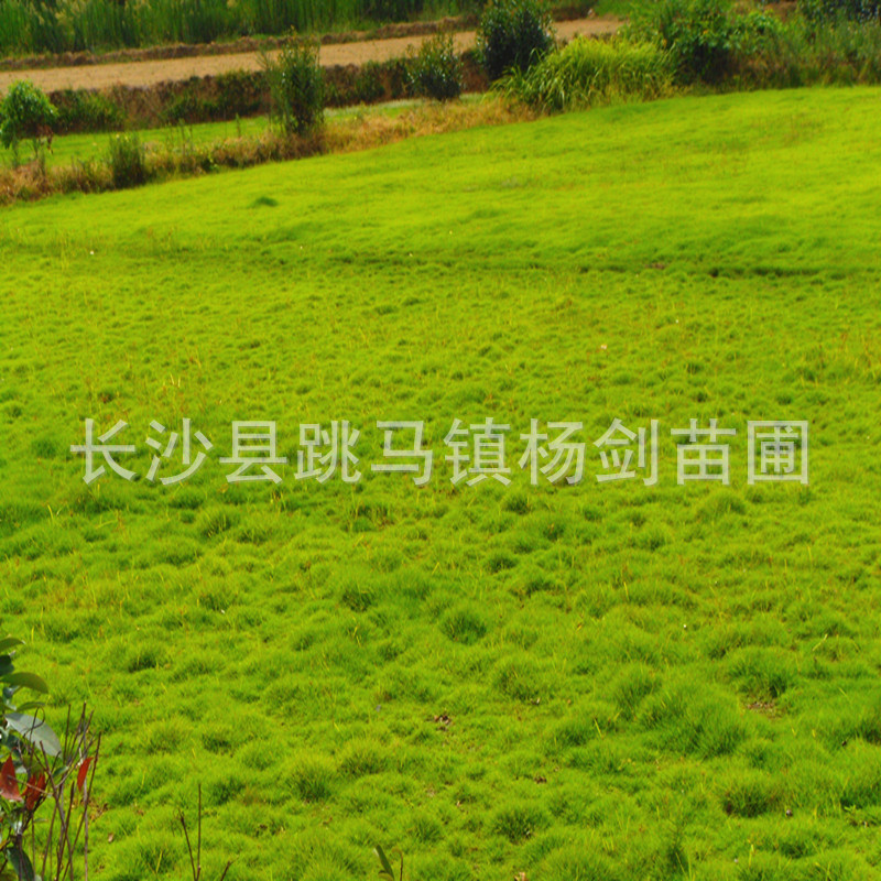 DSC01640_副本