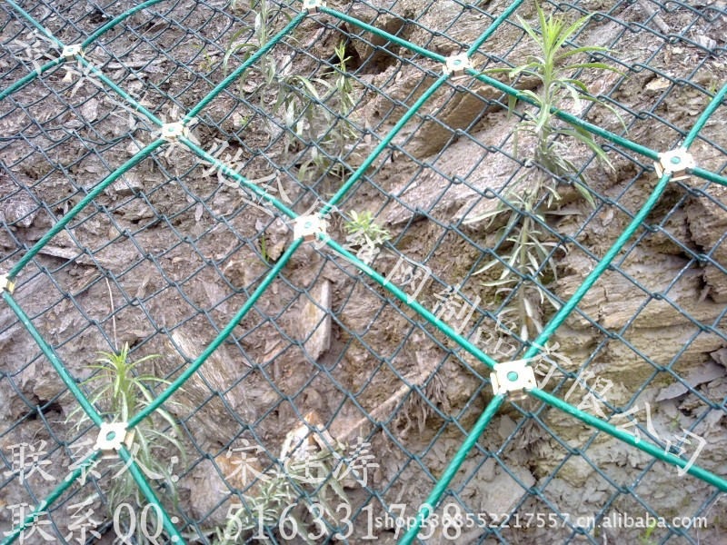 泽驰&mdash;边坡防护网