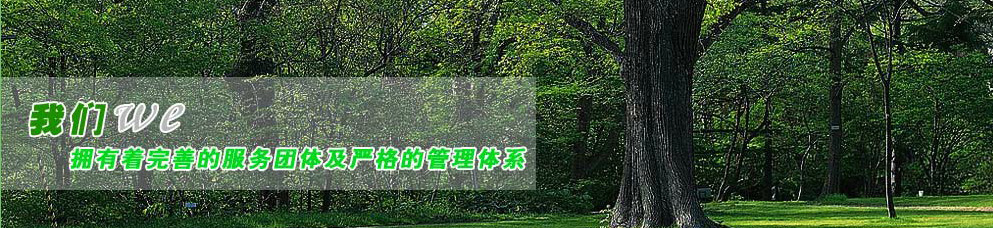 蝎子102