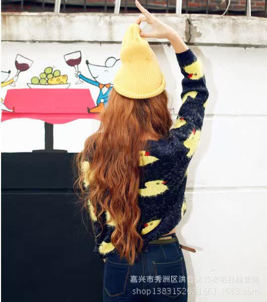 鴨子和眼睛