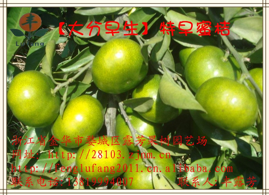 158834838_1606430861_副本