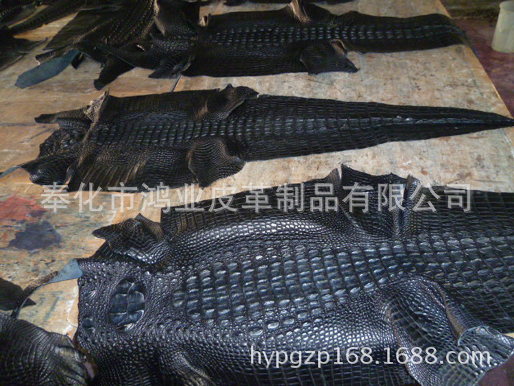 鳄鱼皮 整张鳄鱼皮 真品鳄鱼原皮 diy鳄鱼皮料革
