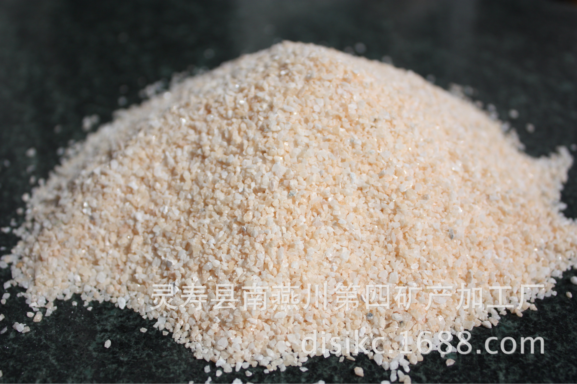 照片 259