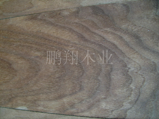 黑胡桃4_1_