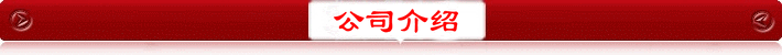 公司介紹