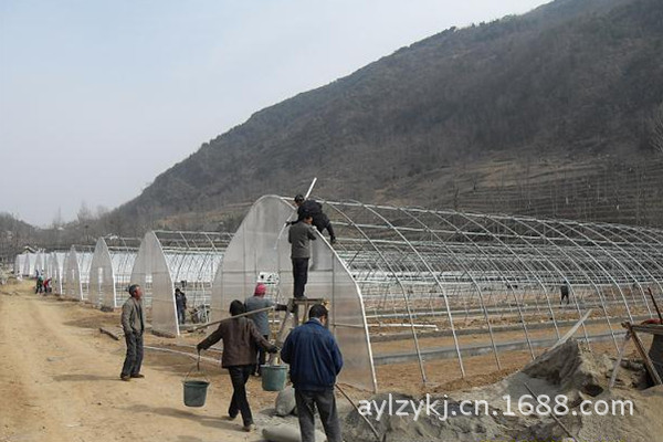 钢管大棚施工安装图片