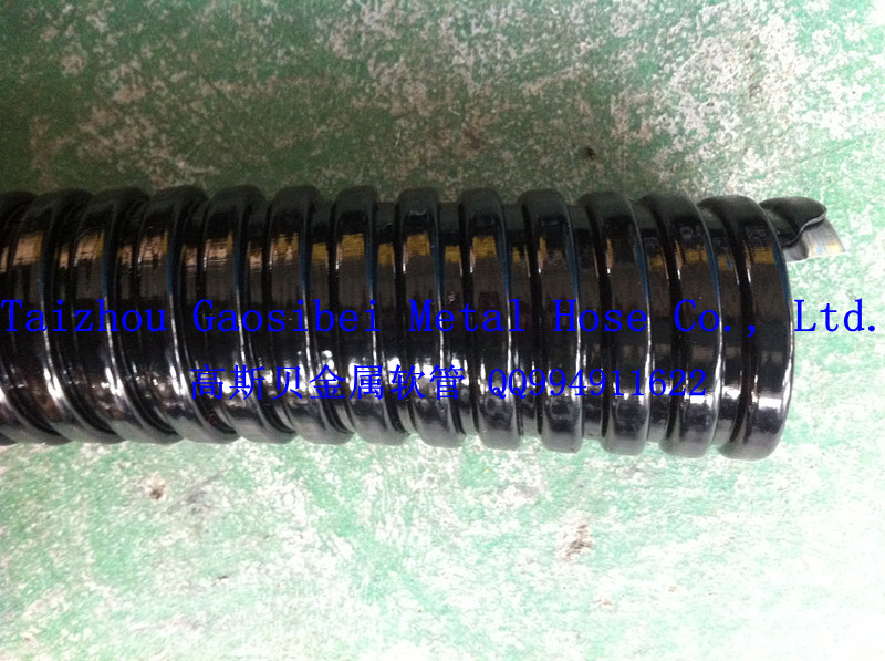 IMG_2068_副本_副本