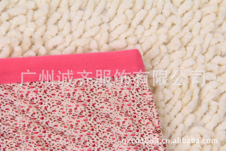 GS668 新款女士豹纹系列内裤批发 莫代尔大板型女式内裤.