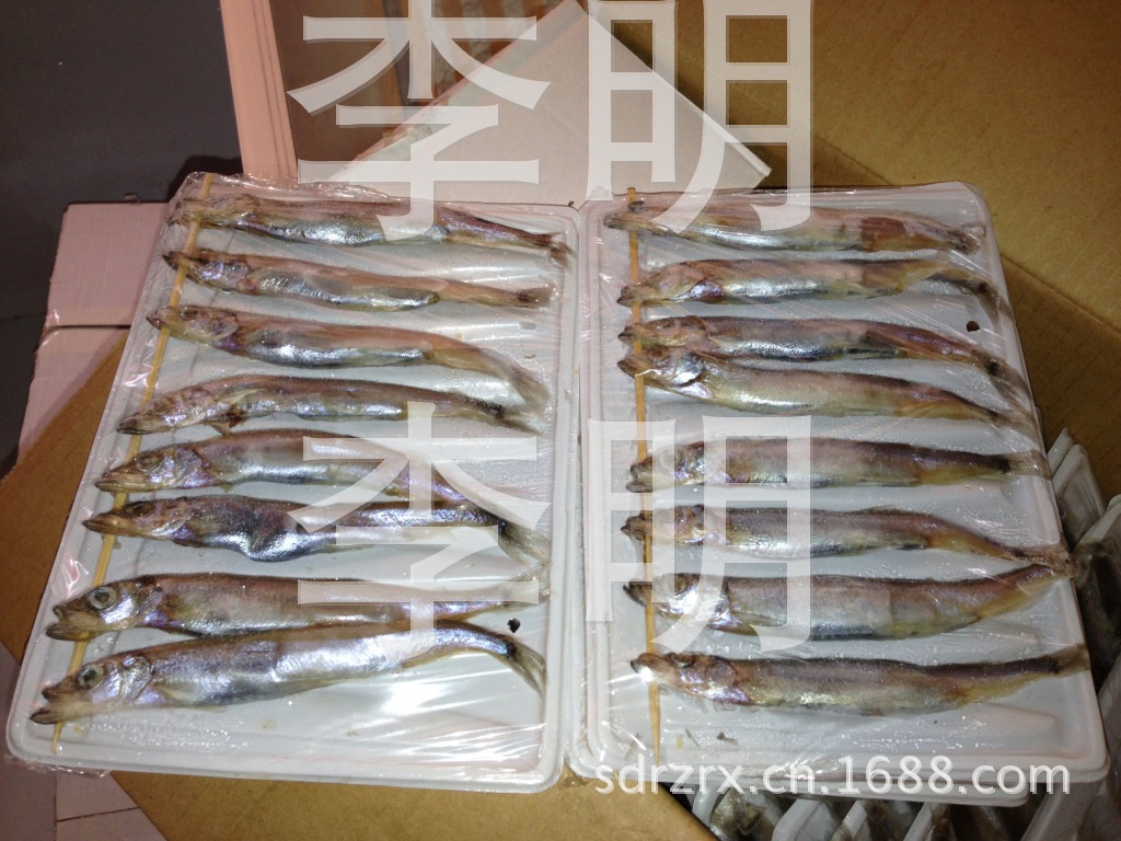 新照片 002