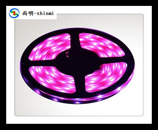 5050 30裸板粉红LED软灯条(尚明光电-shinmi)