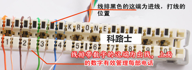 科路士品牌科龙卡接线排 10对电话配线架模块电话 电话配线箱模块