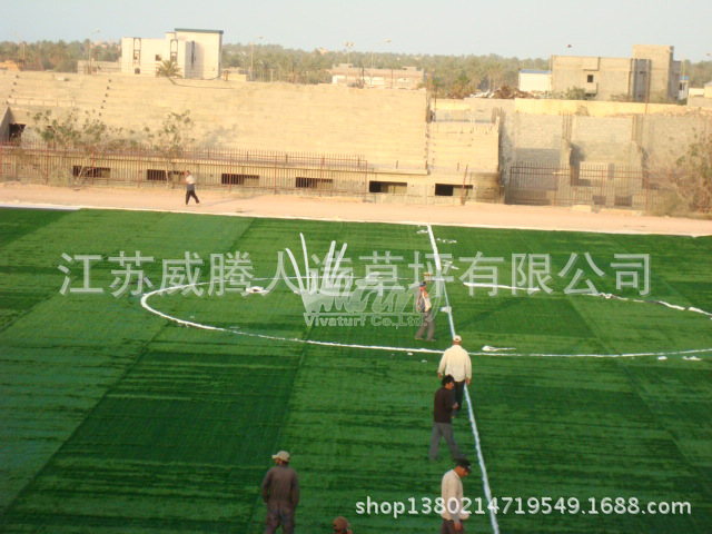 soccer field-5