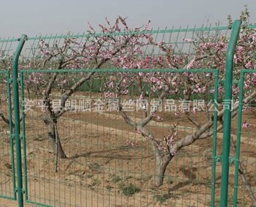 QQ图片20130616173811