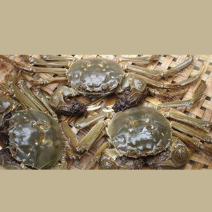 u=1036997762,186007395&fm=23&g