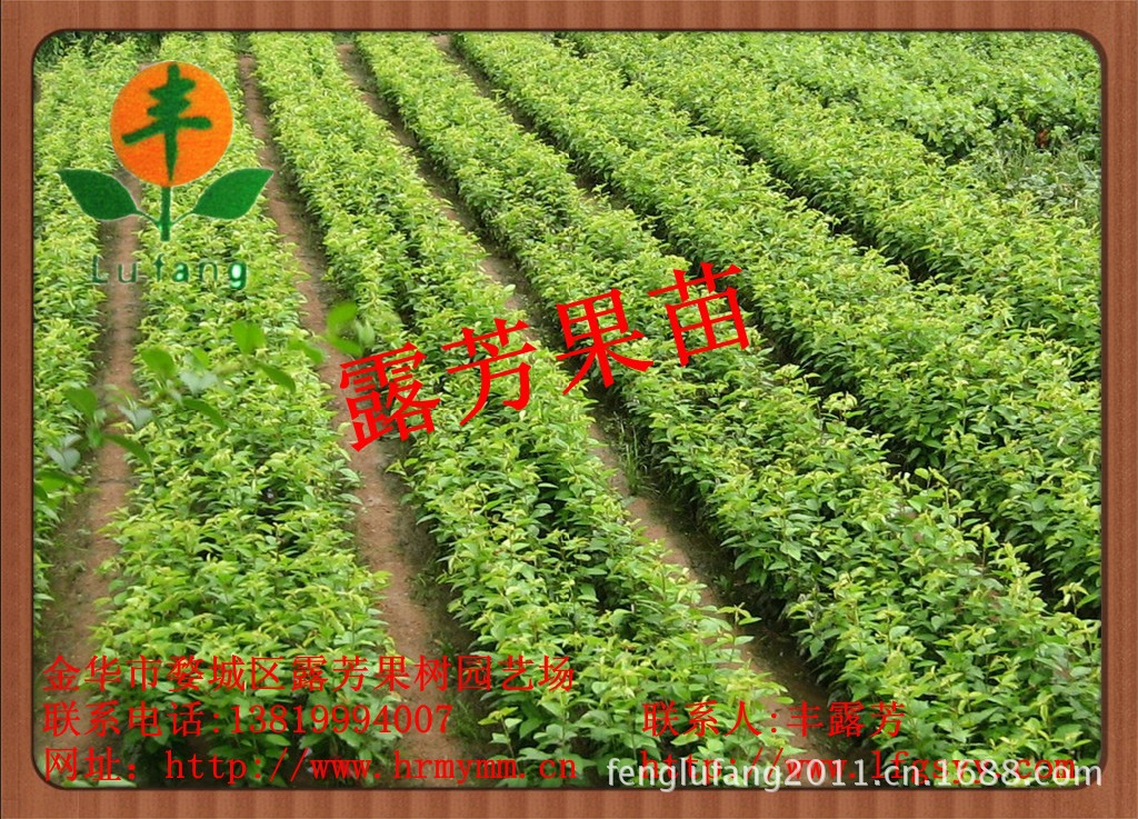 20130218061964366436_副本