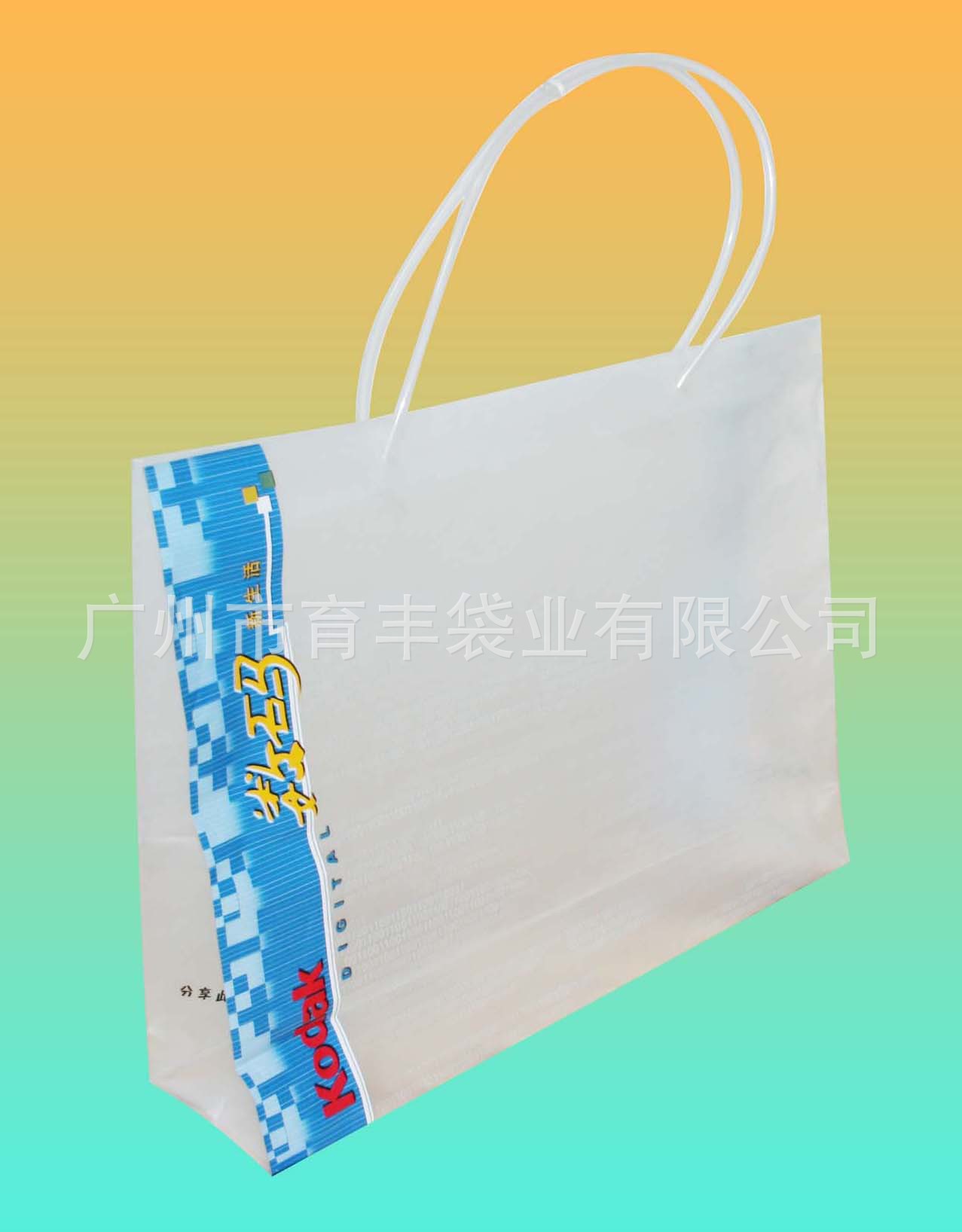 Shopping-Bag-MD-SS-001-
