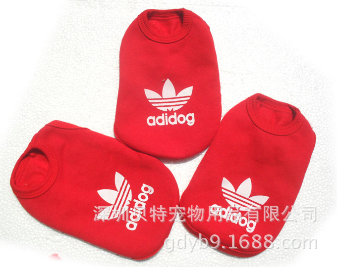 SAM_2427