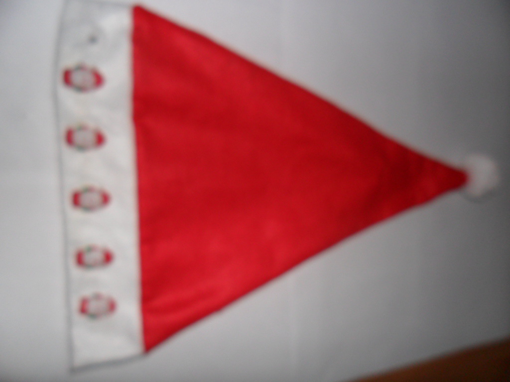 SAM_0377 - 副本 - 副本