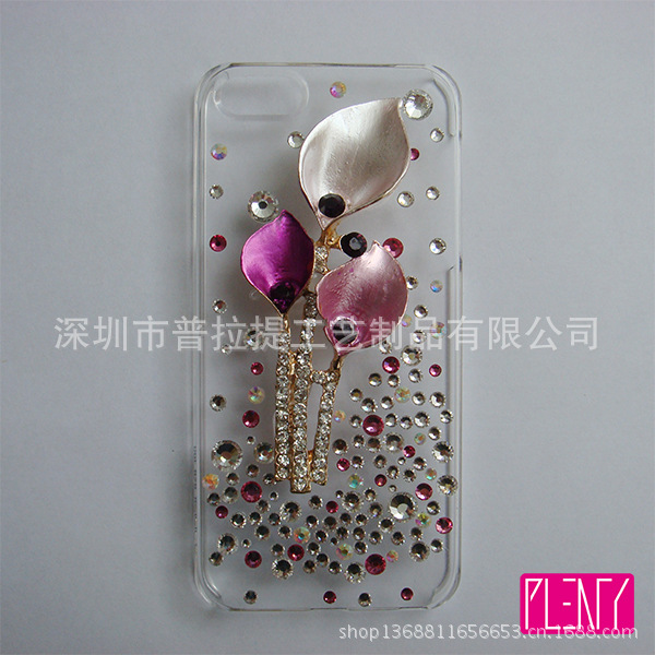 iPhone 5 Cover 6-1 Ali