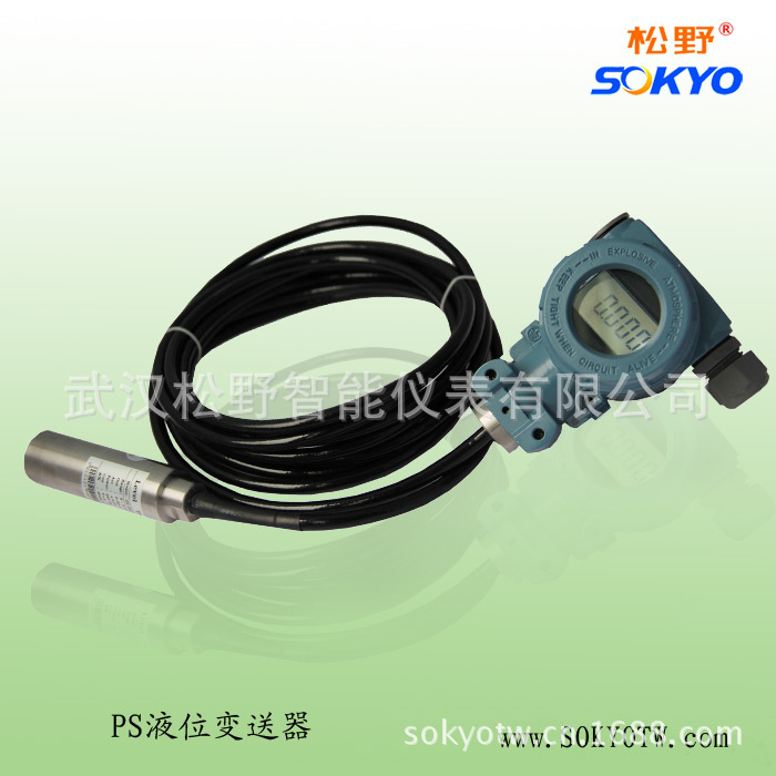 PS分体带显示液位变送器