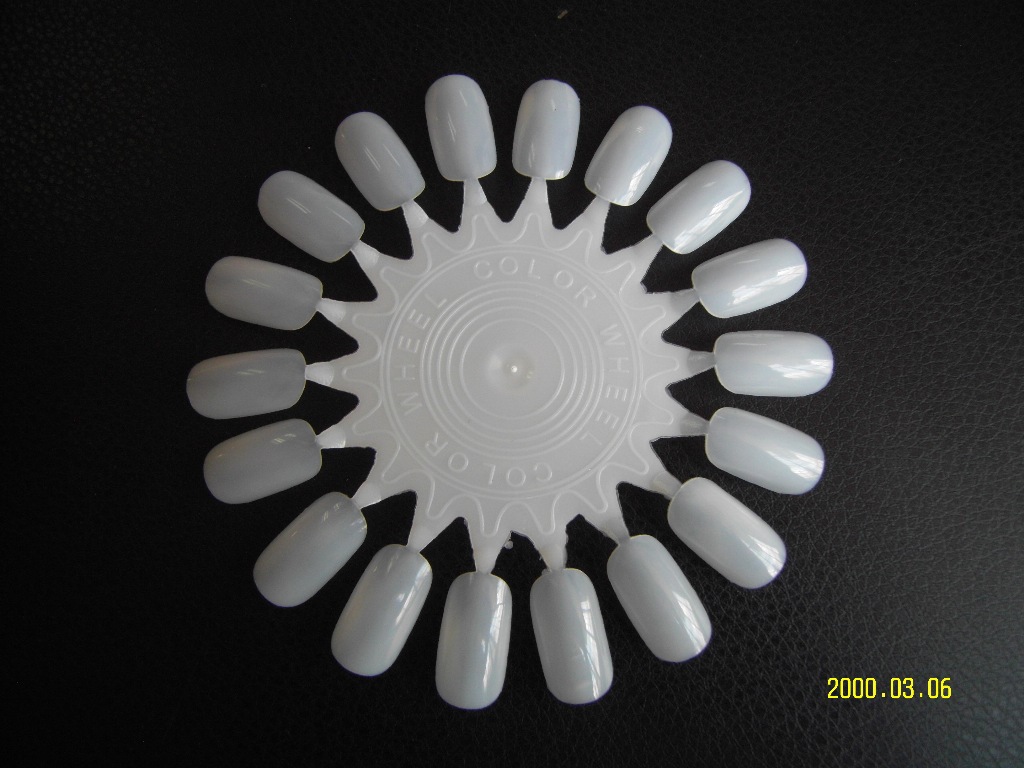 SDC10041