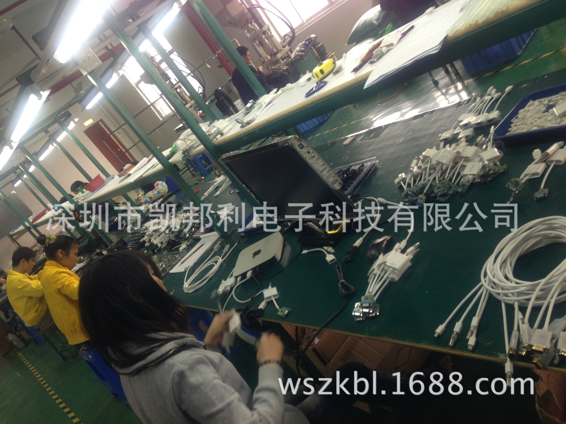 照片 291